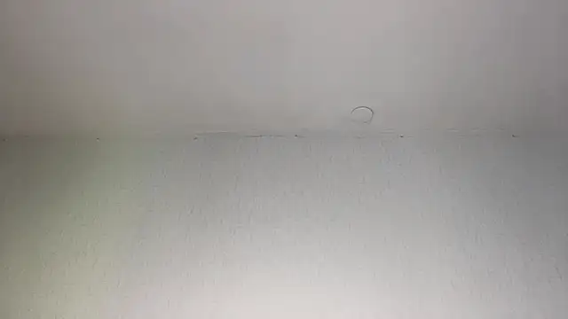 AlmetaHafley webcam