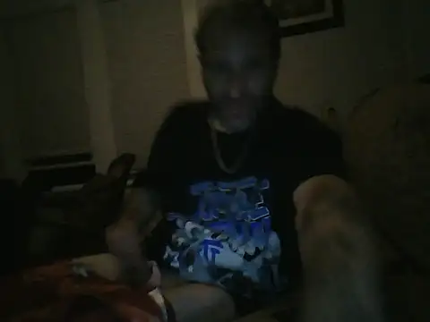 Gain2in1 webcam