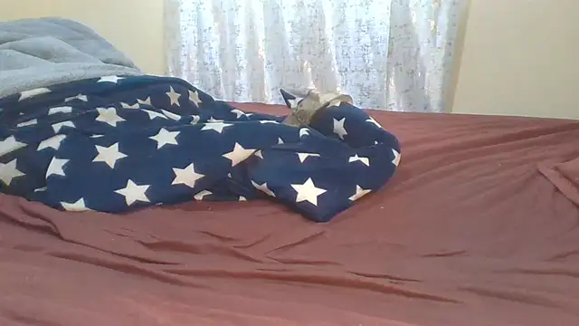 ndivhuwomuleya live cam on StripChat