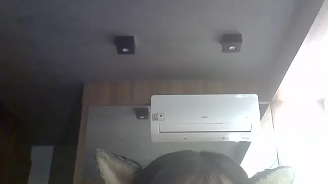 SkinnyKitten webcam
