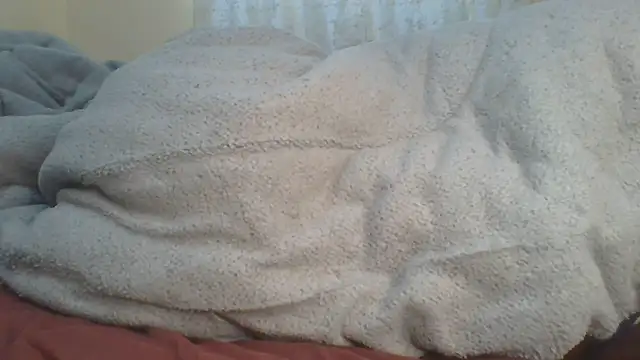 ndivhuwomuleya webcam