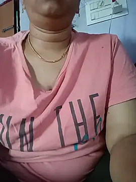Hansikatelugu webcam