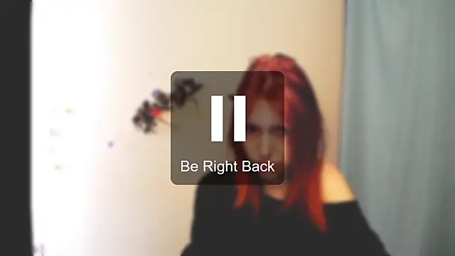 GuessMe___ webcam
