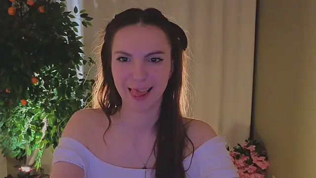 Alice-Lidel webcam