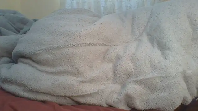 ndivhuwomuleya live cam on StripChat