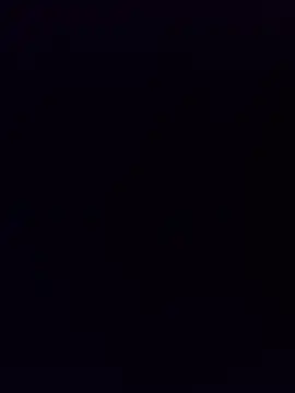 minnetird webcam