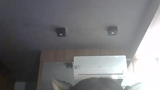 SkinnyKitten webcam