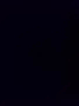 minnetird webcam
