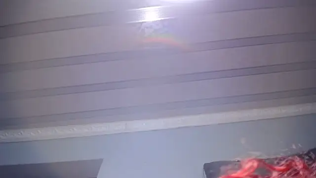 XPanther_24 webcam