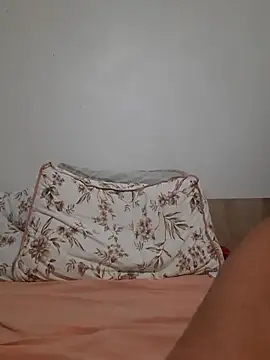 Camilegaucha