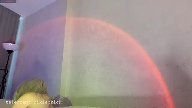 KittenFang webcam
