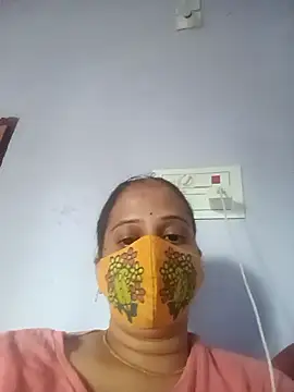 Hansikatelugu webcam