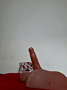 Kamdollie webcam