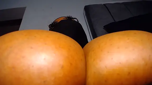 XPanther_24 webcam