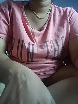 Hansikatelugu webcam