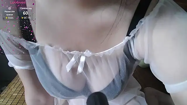 LittleKitty- webcam