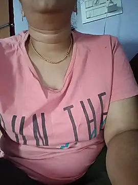 Hansikatelugu webcam