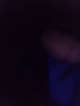segnini21