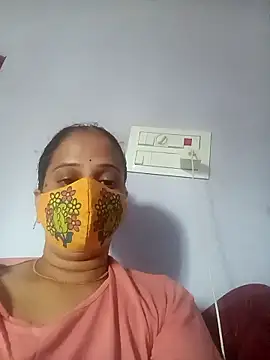 Hansikatelugu webcam