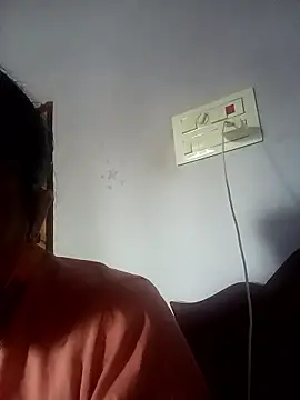 Hansikatelugu webcam