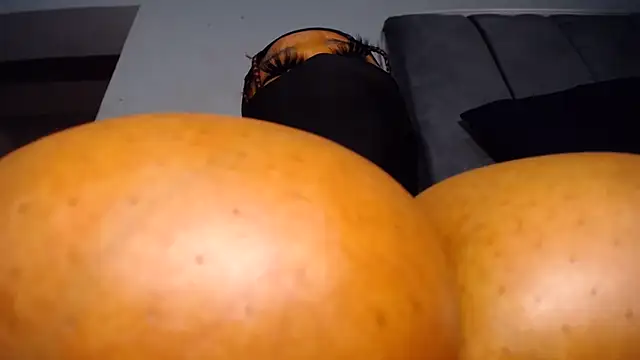 XPanther_24 webcam