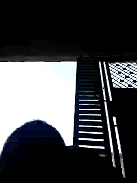 Loomaraj webcam
