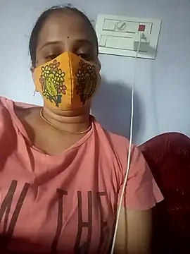 Hansikatelugu webcam