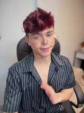 PRINCE_STEV webcam