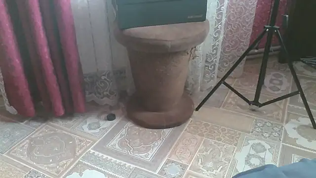 Shailadiess webcam