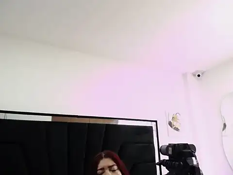 Gingerblis webcam