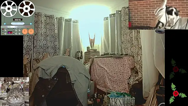 coryassman webcam