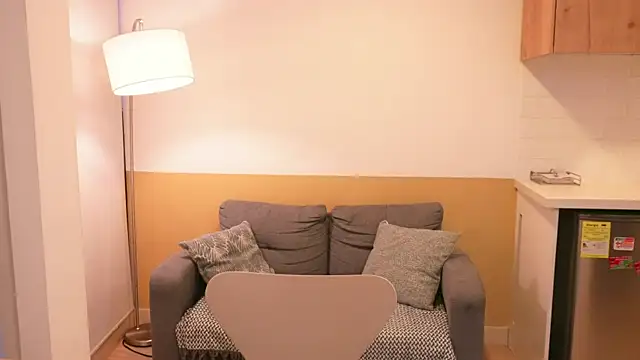 Erelisstrip webcam