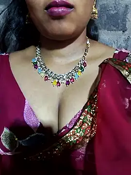 srav43 webcam