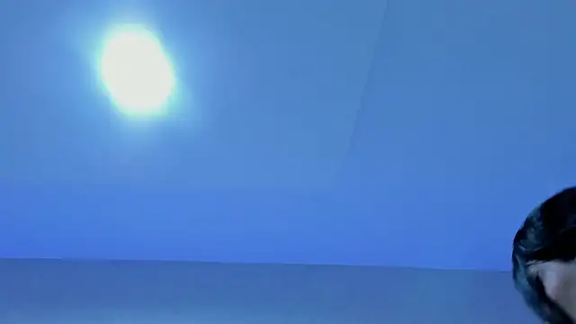 bela_palmer webcam