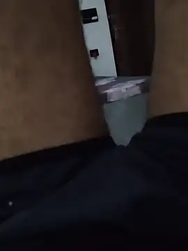 Gurgaonbull01 webcam