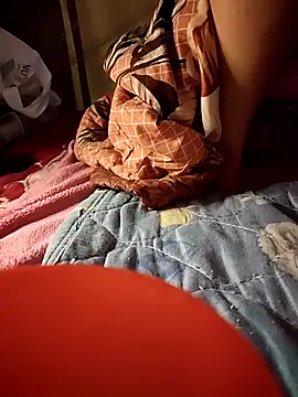 -Tara-a webcam