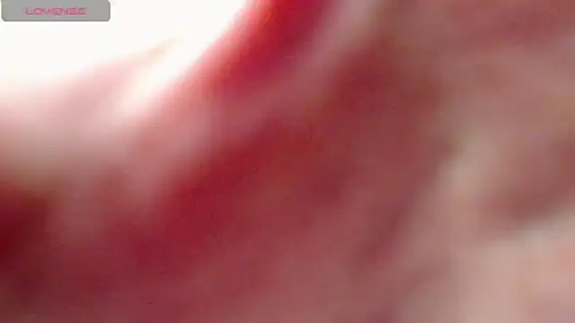 SelinLi webcam