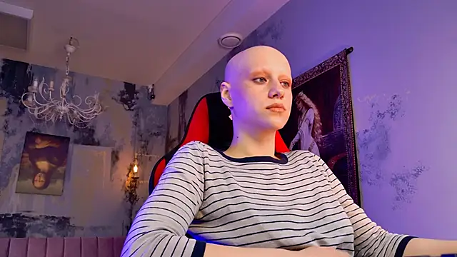 LidaDarknet webcam