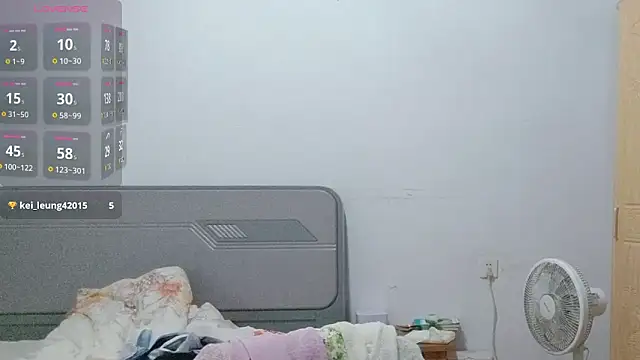 fanfan-FF webcam