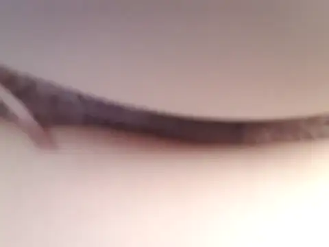 Missy_DM webcam