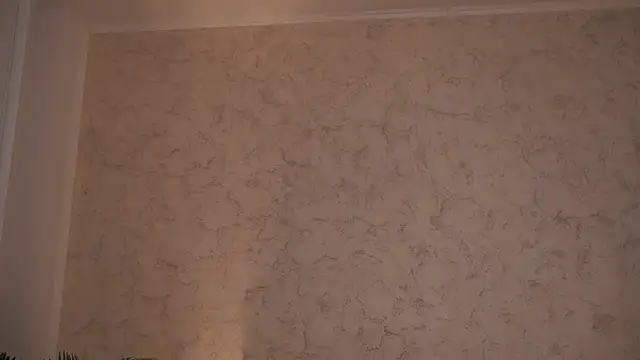 Ava-Diamond webcam