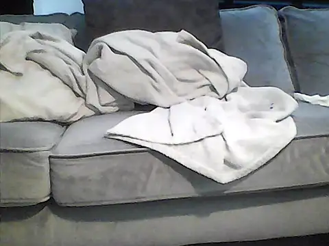 perlados webcam