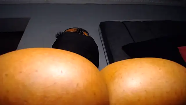 XPanther_24 webcam