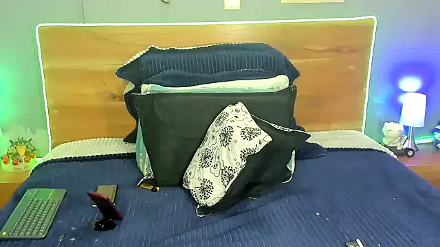 Prometeo-grizzly webcam