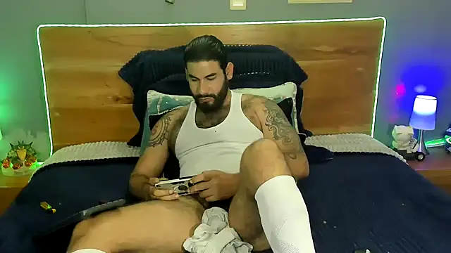 Prometeo-grizzly webcam