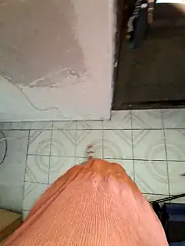 sow700sow webcam