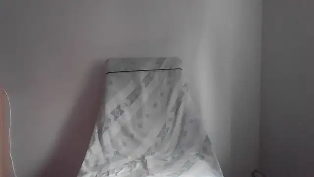 fl3xxx1 webcam