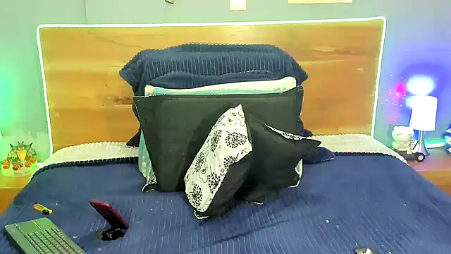 Prometeo-grizzly webcam
