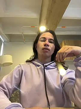 Erelisstrip webcam