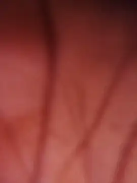 _yefez webcam